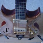 Custom Made Hand Crafted Electric with f-hole and quilted maple top JPGuitars